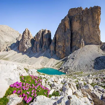 Apartment Orchidea *