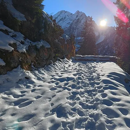 Apartment Orchidea *