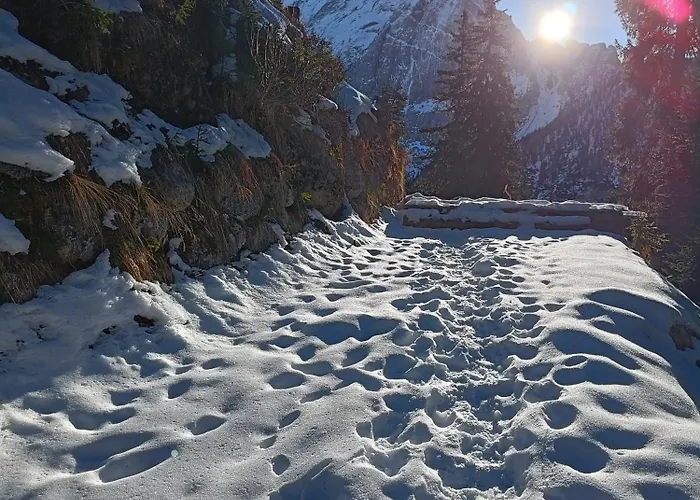 아파트 Orchidea & *